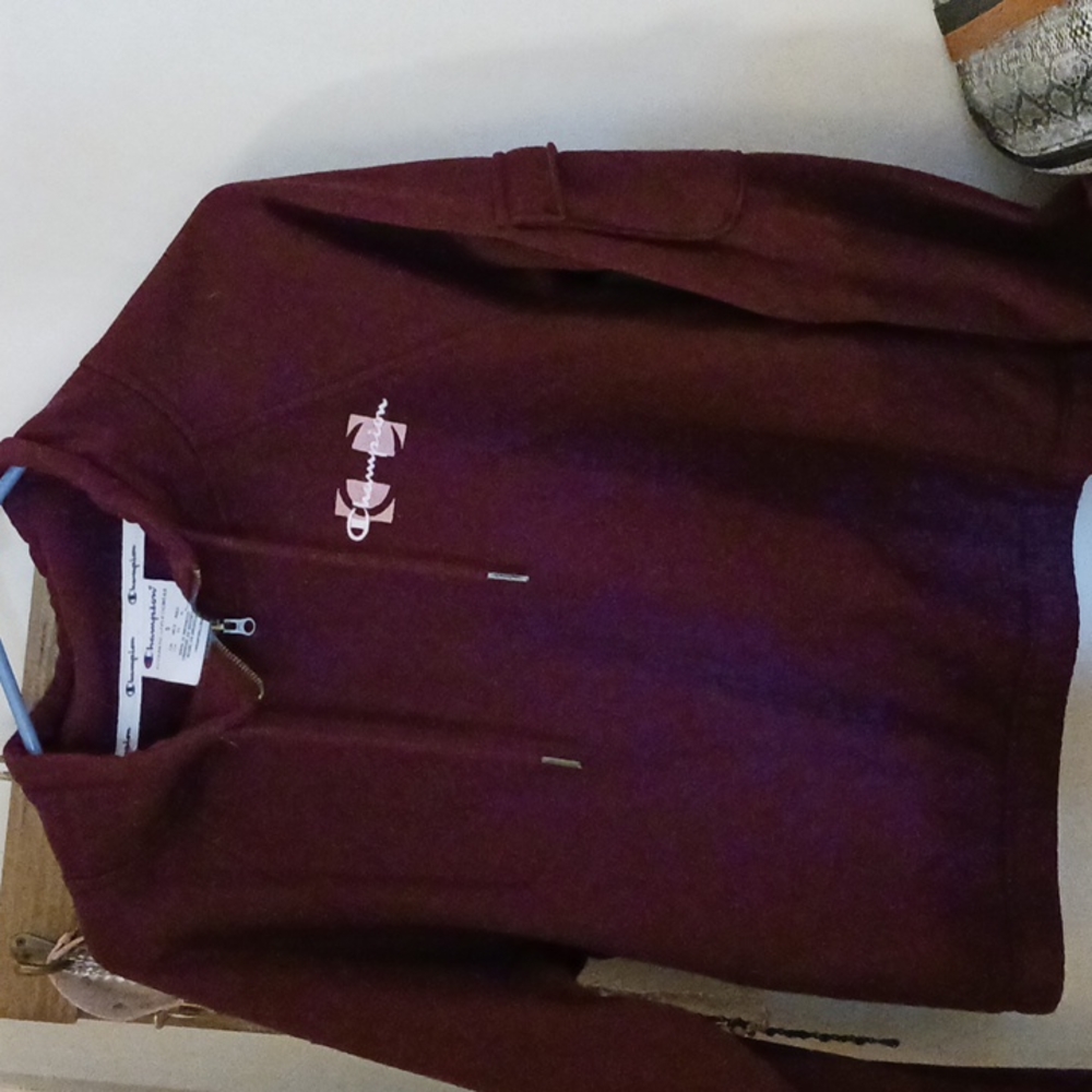 Champion jogging suit